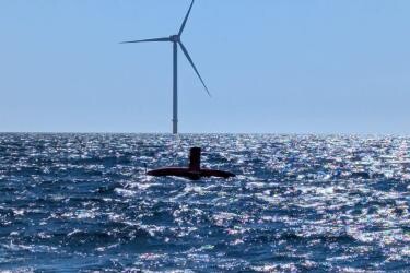 Northeast fisheries center surveys wind energy areas